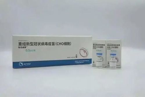 广东本土0新增,广州6区域解封,60万剂三针型疫苗到货 疫苗进入人体后会发生什么 这动画火了