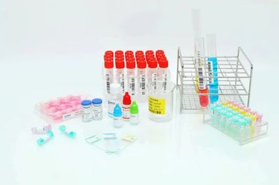 专注于生物医药行业标签