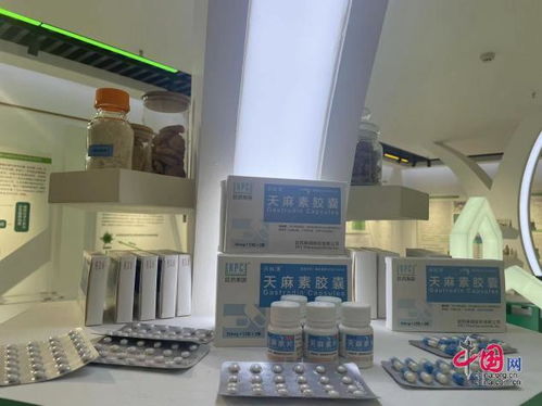 用行动守护生物多样性的生命之舟——昆明植物所生物技术开发探索