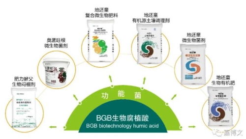 史丹利农业集团副总裁张广忠一行到访嘉博文上海分公司，考察生物制品研发成果