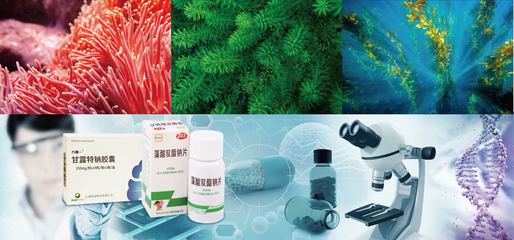 华大海洋 以企业担当引领海洋生物医药与生物技术研发新浪潮
