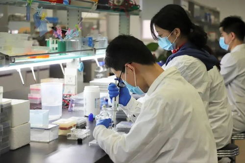 重庆218个药品平均降价53 ,三甲医院达到39家