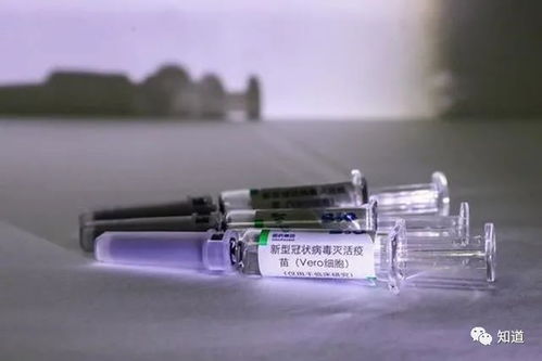 我国首个冠病灭活疫苗进入第二期期临床